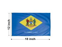 12"x18" Delaware Nylon Outdoor Flag